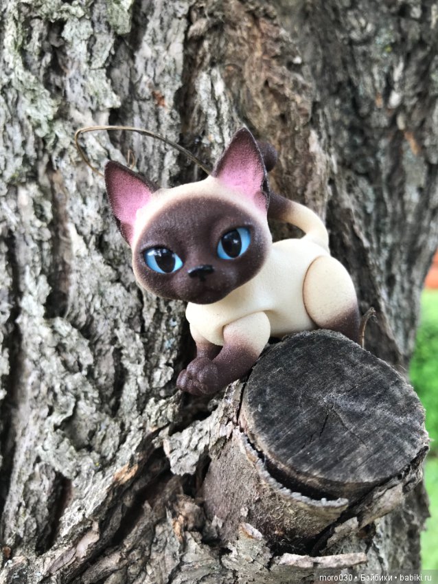 Котенок Зара — Разные шарнирные куклы (не БЖД): редкие (фото 5)