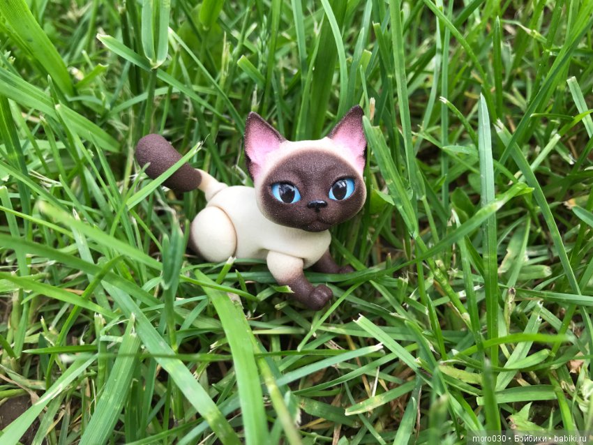 Котенок Зара — Разные шарнирные куклы (не БЖД): редкие