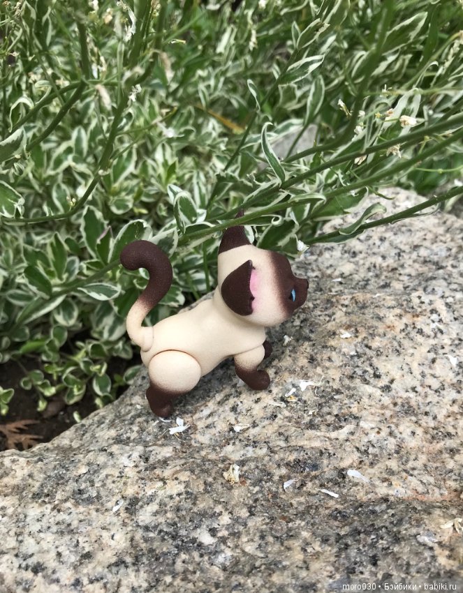 Котенок Зара — Разные шарнирные куклы (не БЖД): редкие (фото 8)