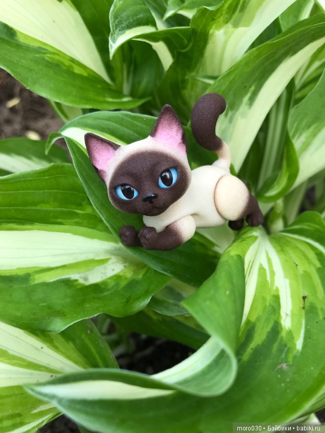 Котенок Зара — Разные шарнирные куклы (не БЖД): редкие (фото 6)