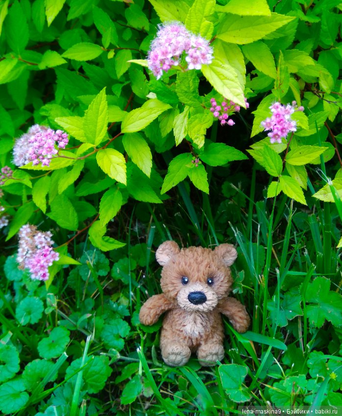 Михайло-Потапыч и красота природы