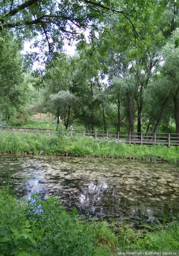 Михайло-Потапыч и красота природы