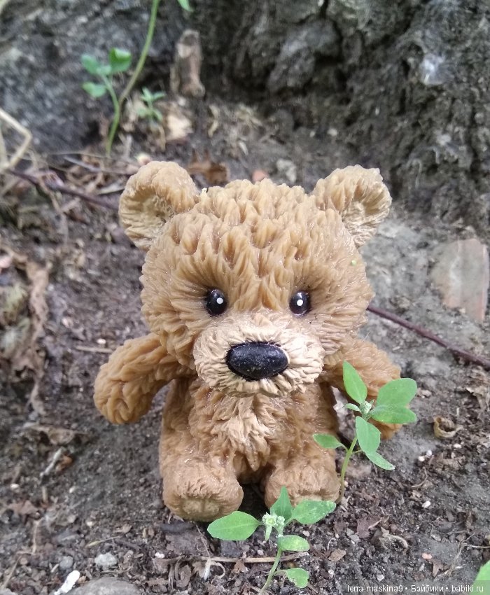 Михайло-Потапыч и красота природы