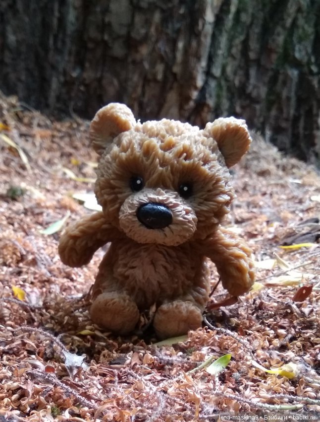 Михайло-Потапыч и красота природы (фото 2)