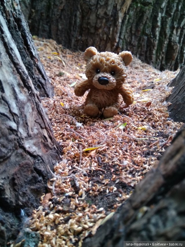 Михайло-Потапыч и красота природы