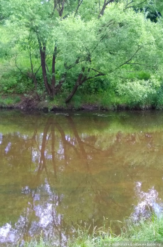 Михайло-Потапыч и красота природы (фото 3)