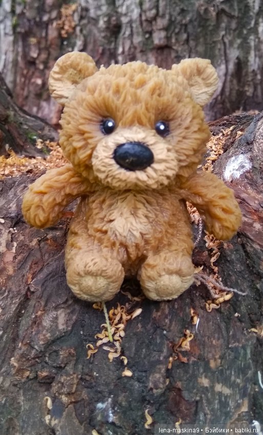 Михайло-Потапыч и красота природы