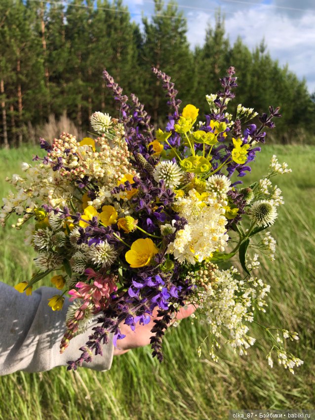 Оливия Nikki Britt на лесной прогулке