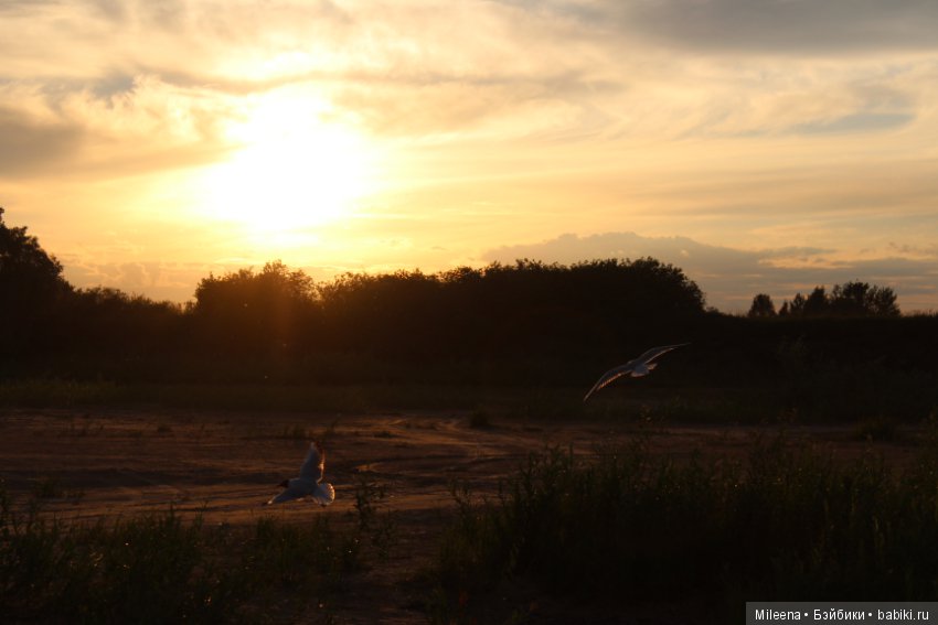 Massive Addictive — Куклы Integrity Toys (Интегрити): Poppy Parker (фото 2)