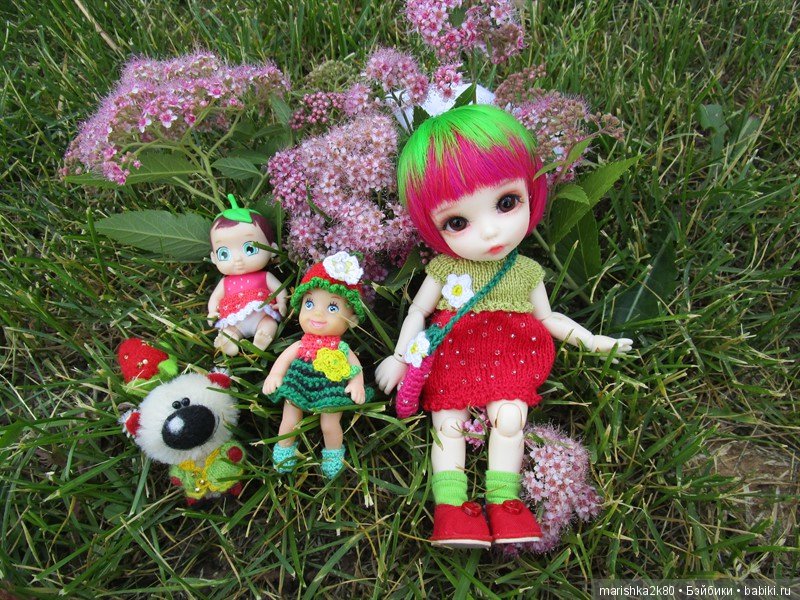 Пчёлки и клубнички — Куклы Fairyland (ФэйриЛэнд): BJD (БЖД)