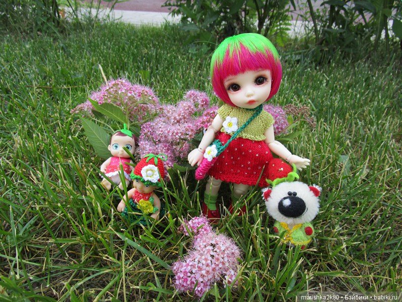 Пчёлки и клубнички — Куклы Fairyland (ФэйриЛэнд): BJD (БЖД)