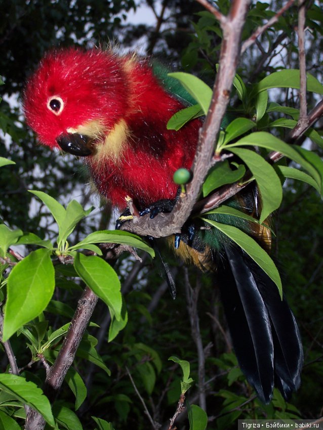 Птица дивная, заморская — Авторские мишки Тедди и друзья: фото (фото 5)