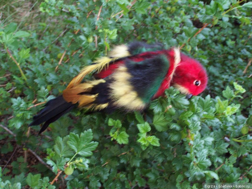 Птица дивная, заморская — Авторские мишки Тедди и друзья: фото