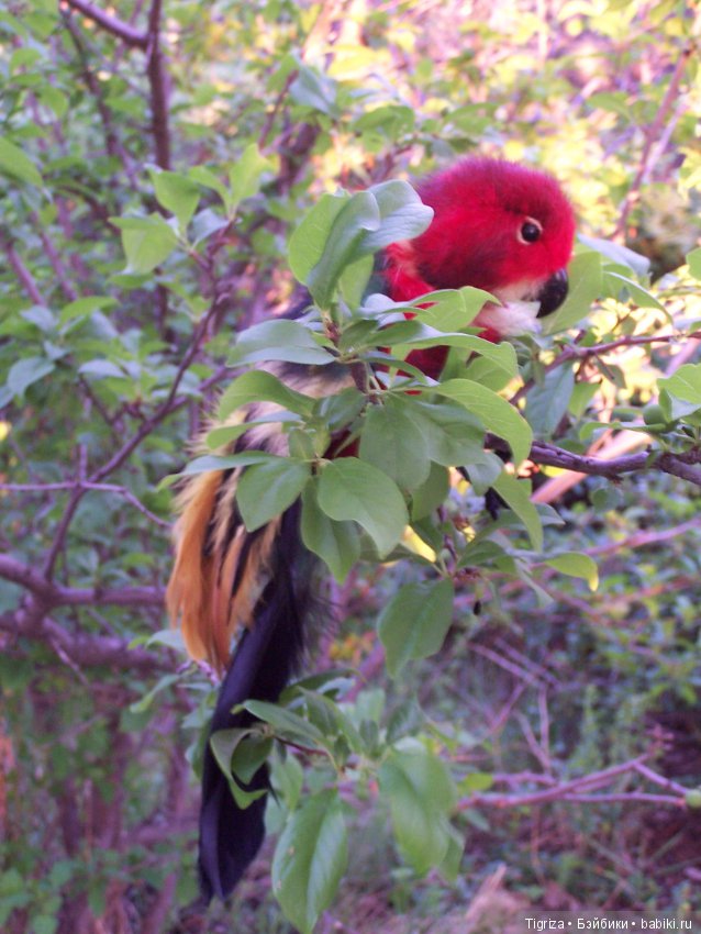 Птица дивная, заморская — Авторские мишки Тедди и друзья: фото