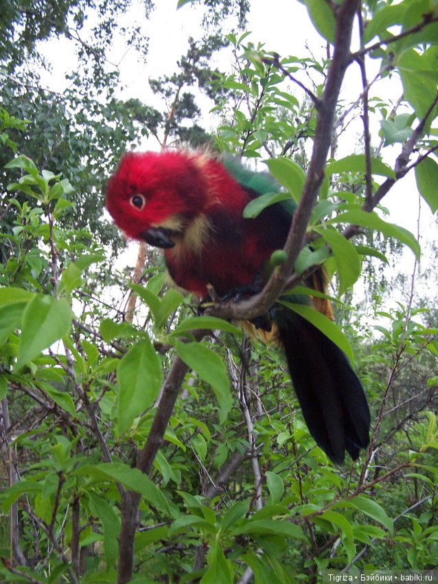 Птица дивная, заморская — Авторские мишки Тедди и друзья: фото (фото 3)