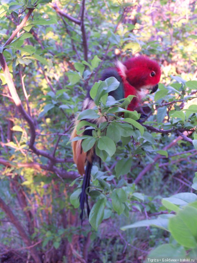 Птица дивная, заморская — Авторские мишки Тедди и друзья: фото