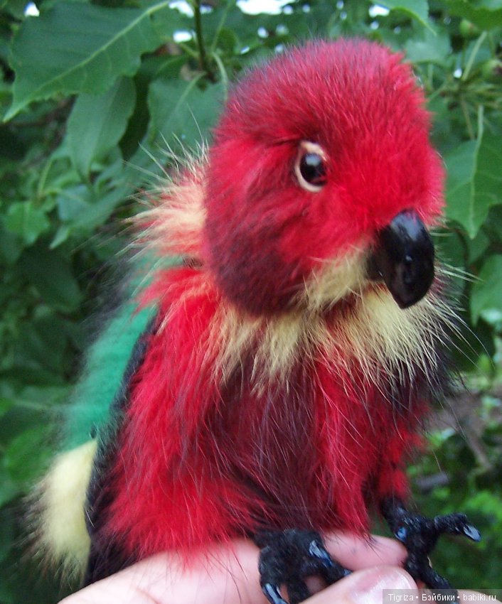 Птица дивная, заморская — Авторские мишки Тедди и друзья: фото (фото 2)