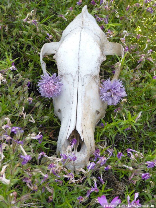 Ведьмочка и ее огород — Российские куклы Весна