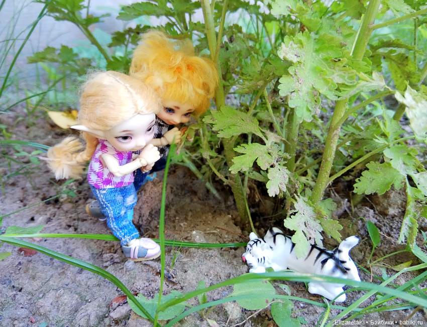 В поисках приключений по двору! Realpuki. 39 часть