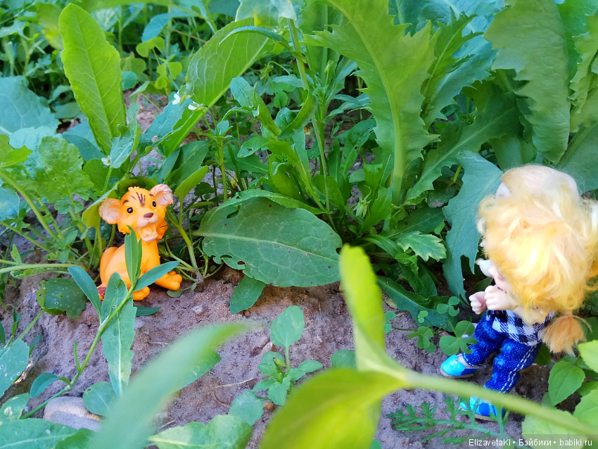 В поисках приключений по двору! Realpuki. 39 часть (фото 5)