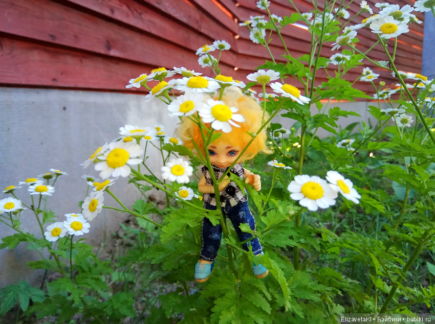 В поисках приключений по двору! Realpuki. 39 часть