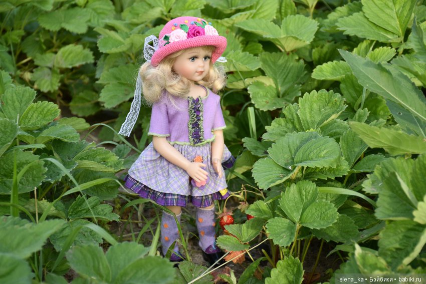 Летнее утро на даче — Болталка и разговоры обо всем: жизнь (фото 2)