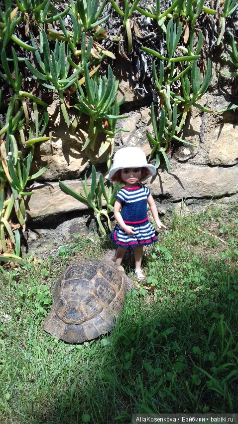 Лето, солнце, море, цветы и моя Стелла (фото 4)