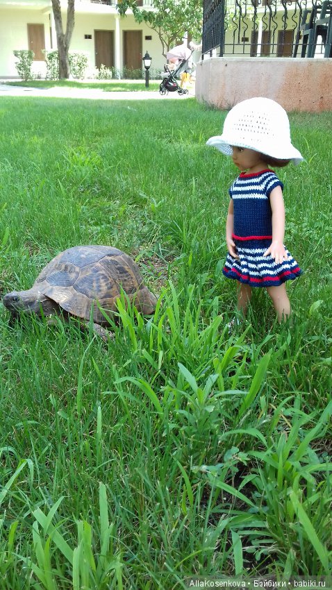 Лето, солнце, море, цветы и моя Стелла (фото 2)