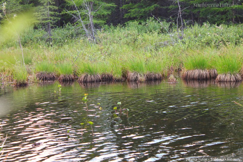 Куда уезжают куклы.Чукотка.Часть 3 (фото 4)