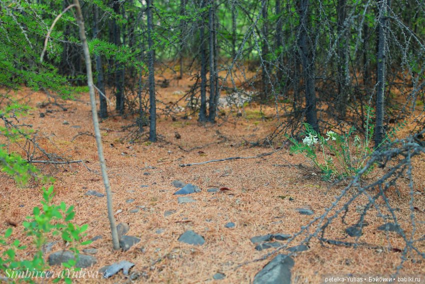 Куда уезжают куклы.Чукотка.Часть 3 (фото 7)