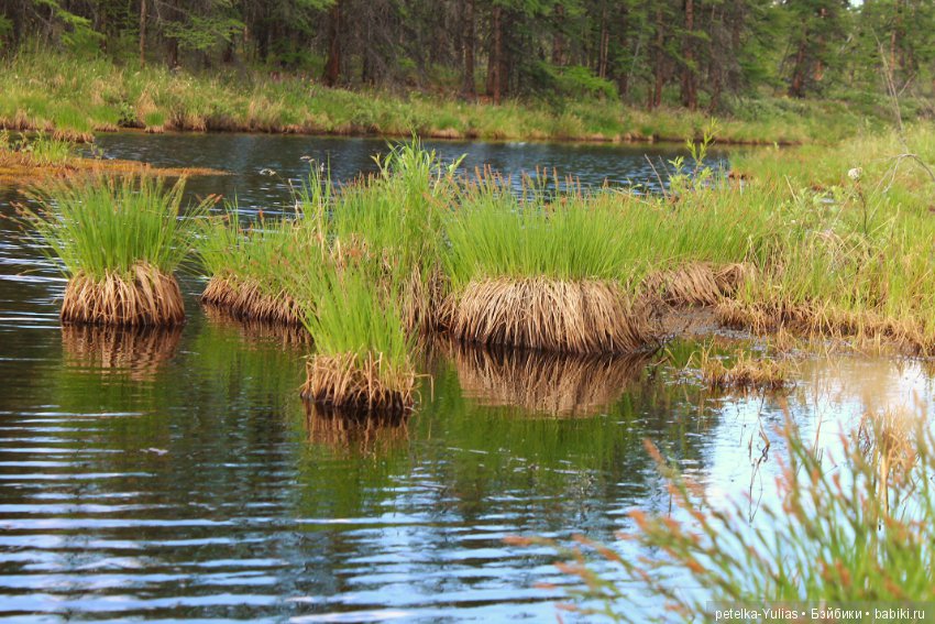 Куда уезжают куклы.Чукотка.Часть 3 (фото 2)