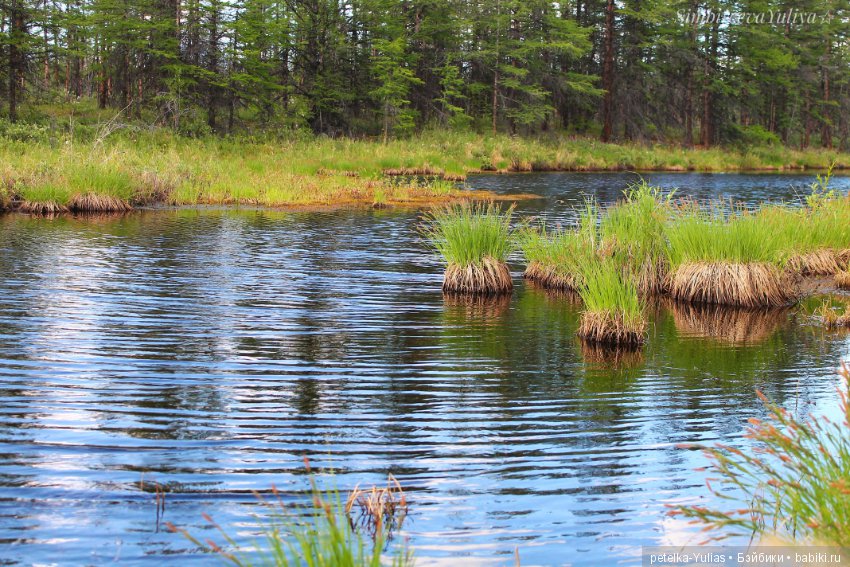 Куда уезжают куклы.Чукотка.Часть 3 (фото 3)