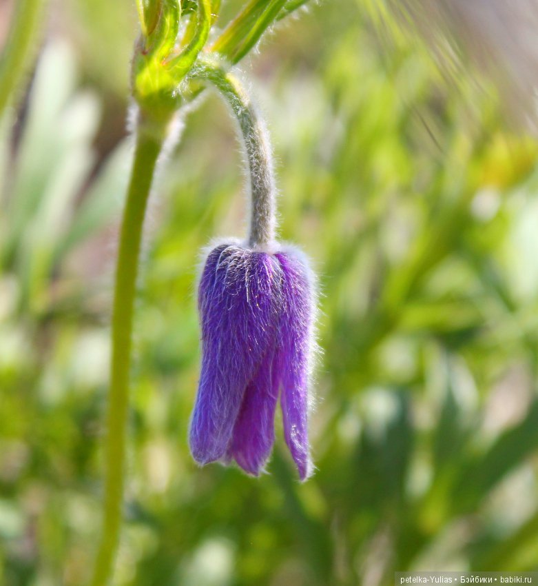 Куда уезжают куклы.Чукотка.Часть 3