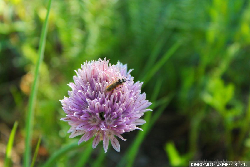 Куда уезжают куклы.Чукотка.Часть 3