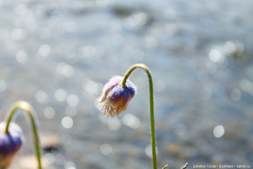 Куда уезжают куклы.Чукотка.Часть 3