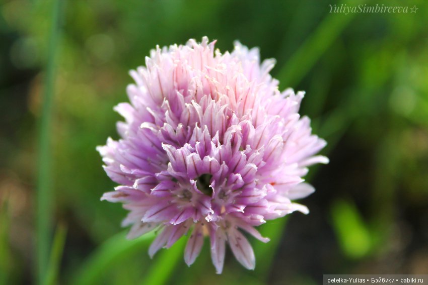 Куда уезжают куклы.Чукотка.Часть 3