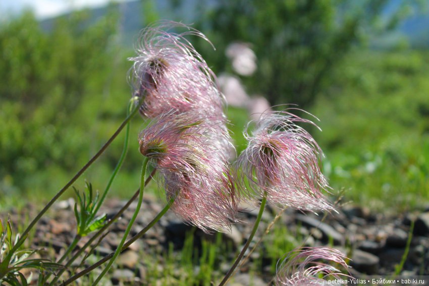 Куда уезжают куклы.Чукотка.Часть 3