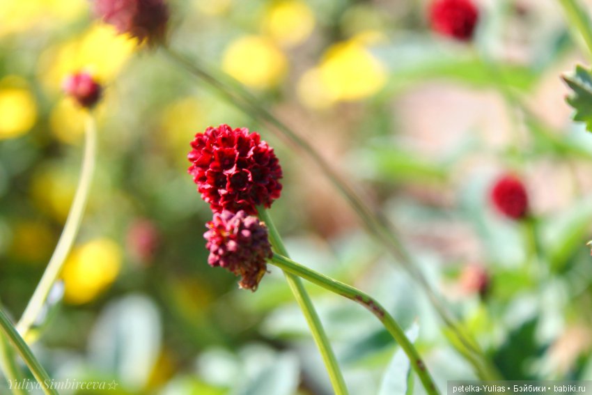 Куда уезжают куклы.Чукотка.Часть 3