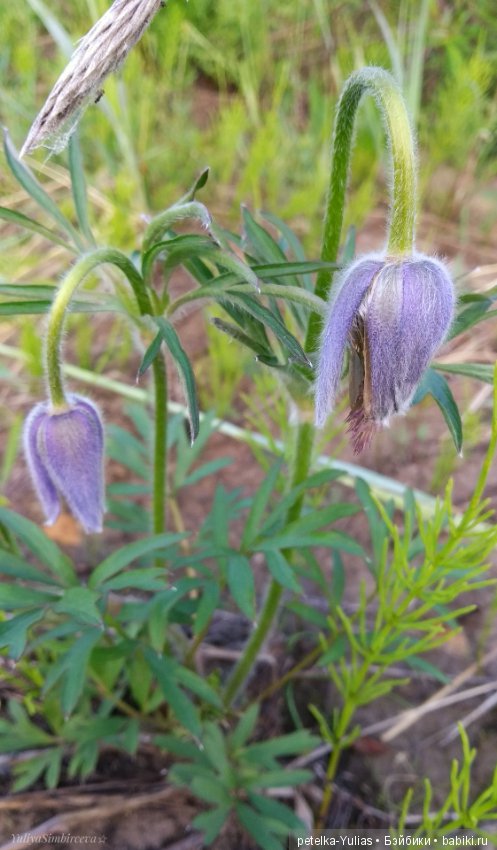 Куда уезжают куклы.Чукотка.Часть 3