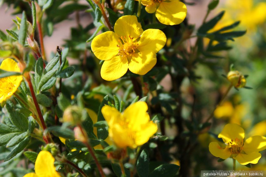 Куда уезжают куклы.Чукотка.Часть 3