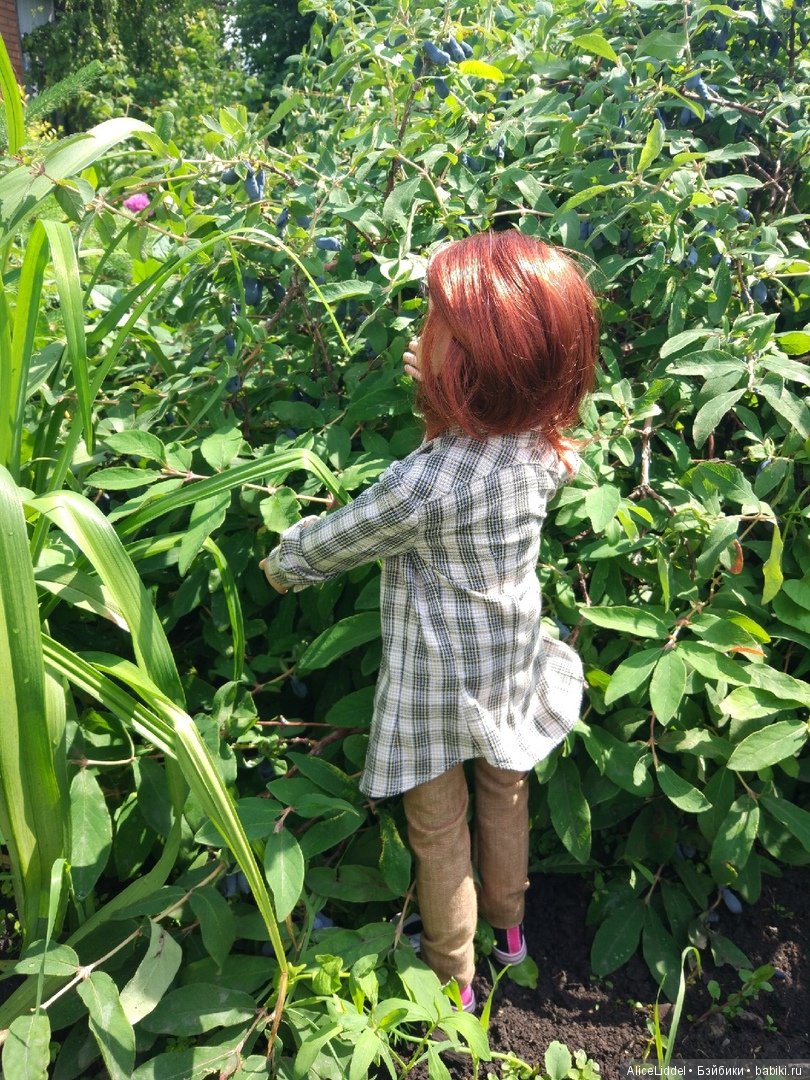 Приключения Марианны где-то в Омской области, или Стране Чудес (фото 8)