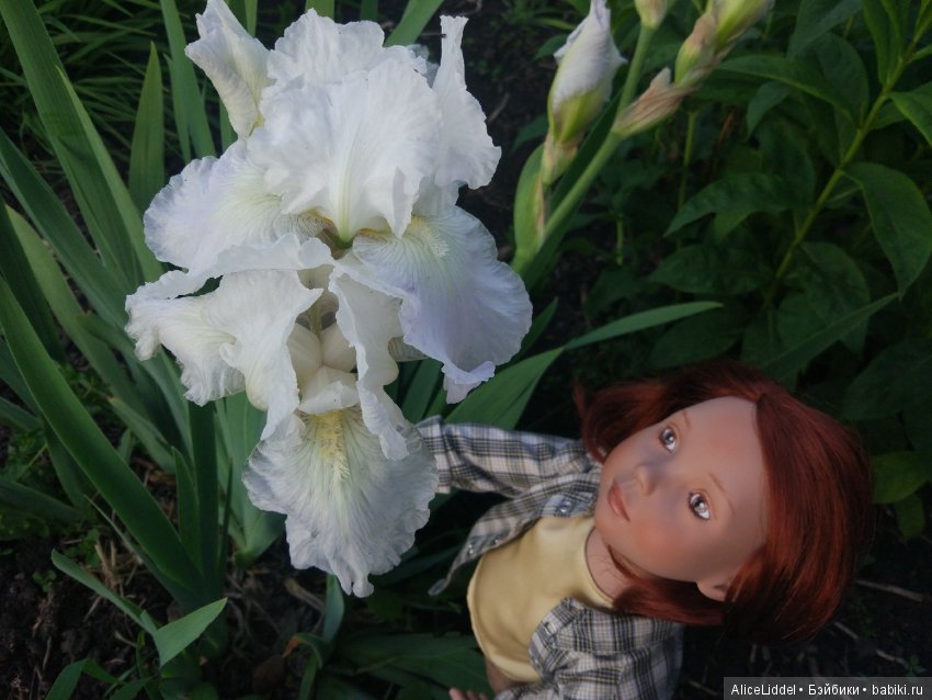 Приключения Марианны где-то в Омской области, или Стране Чудес