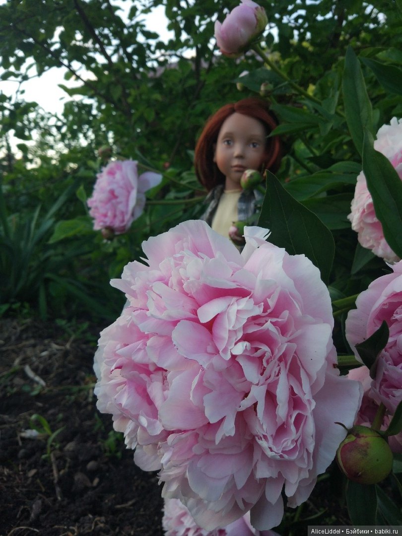 Приключения Марианны где-то в Омской области, или Стране Чудес