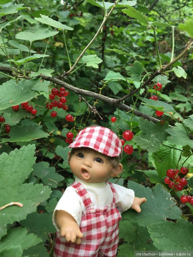 Обед в предгрозовом лесу для Гоши (фото 8)