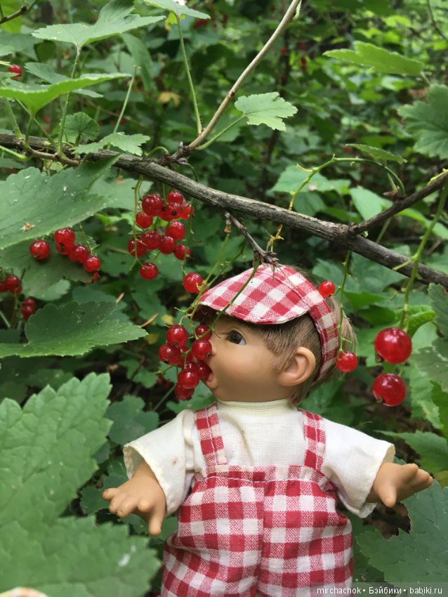 Обед в предгрозовом лесу для Гоши (фото 6)