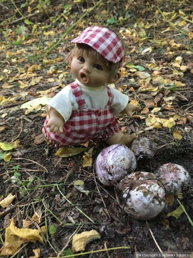 Обед в предгрозовом лесу для Гоши