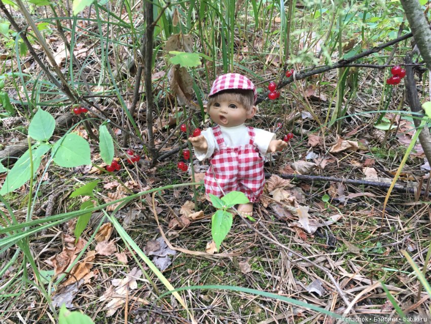 Обед в предгрозовом лесу для Гоши (фото 4)