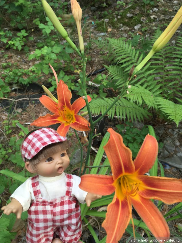 Обед в предгрозовом лесу для Гоши (фото 10)