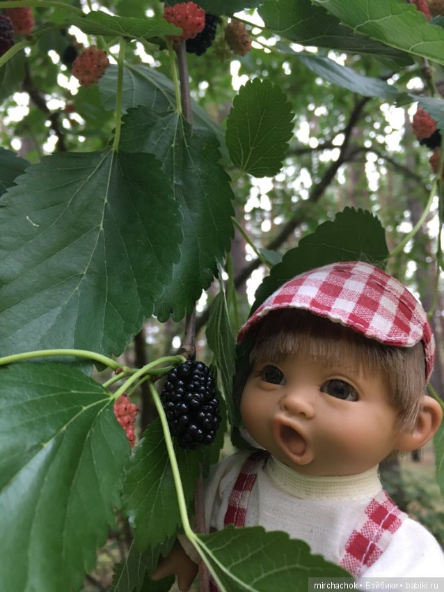 Обед в предгрозовом лесу для Гоши (фото 9)