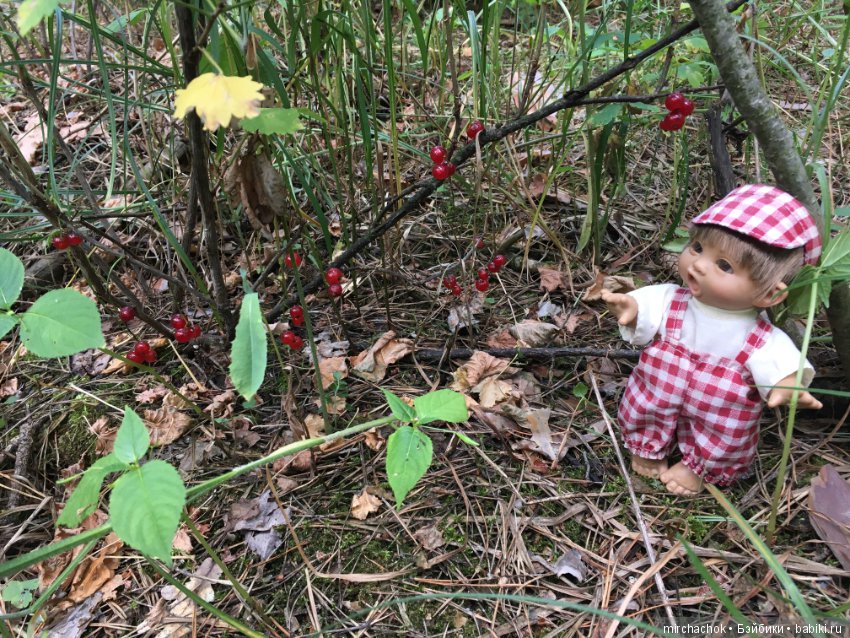 Обед в предгрозовом лесу для Гоши (фото 3)